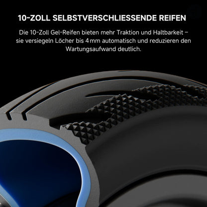 Segway-Ninebot F3 D E-Scooter mit Straßenzulassung 70 km