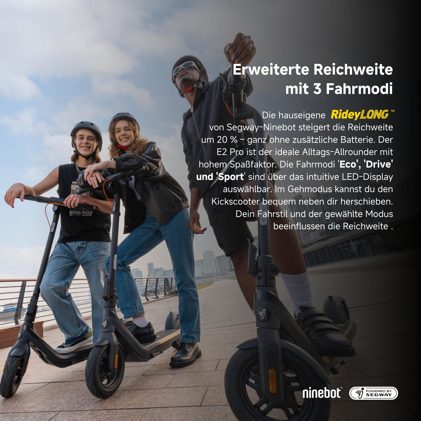Segway-Ninebot E2 Pro D E-Scooter 35 km Reichweite